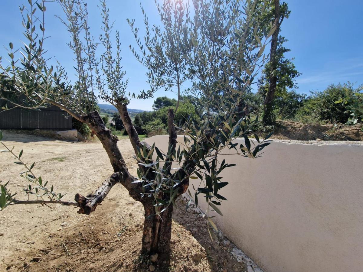 Gite La Lavandiere Bollène Extérieur photo